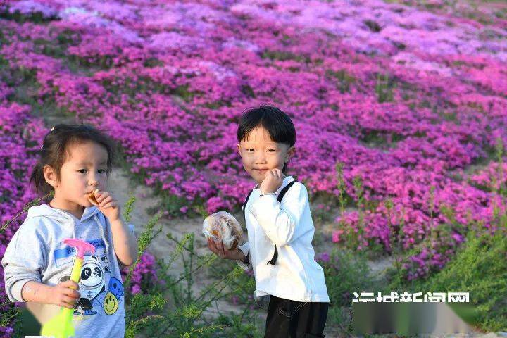 稷山汾河湿地花如海 山西省 建设 水利工程