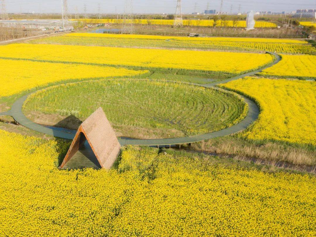 同心抗疫,都市农业公园在行动!_南通_工作_疫情