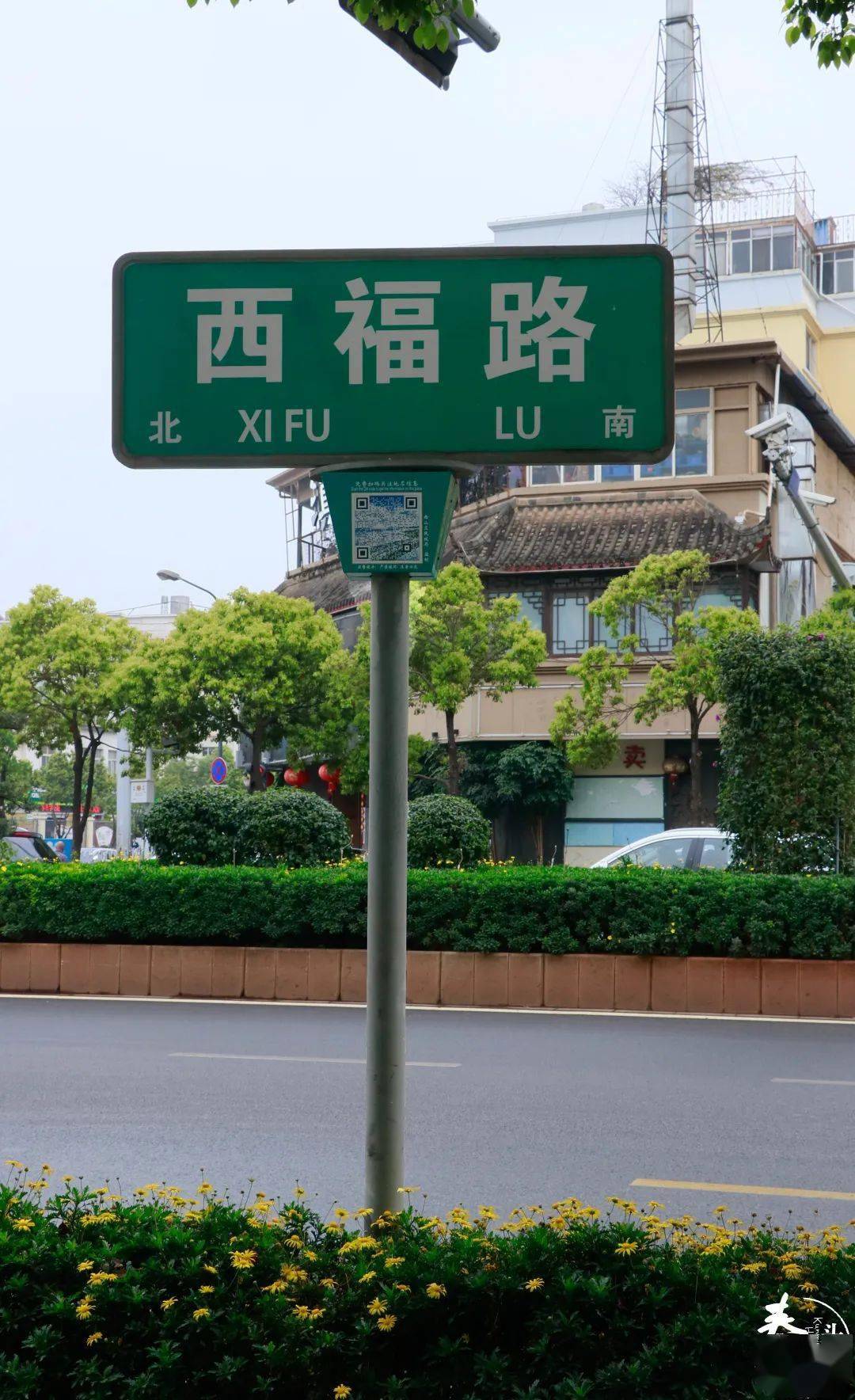 在西福路上走走瞧瞧,这里的生活气息给大队长一种真切的感觉,乍一看并