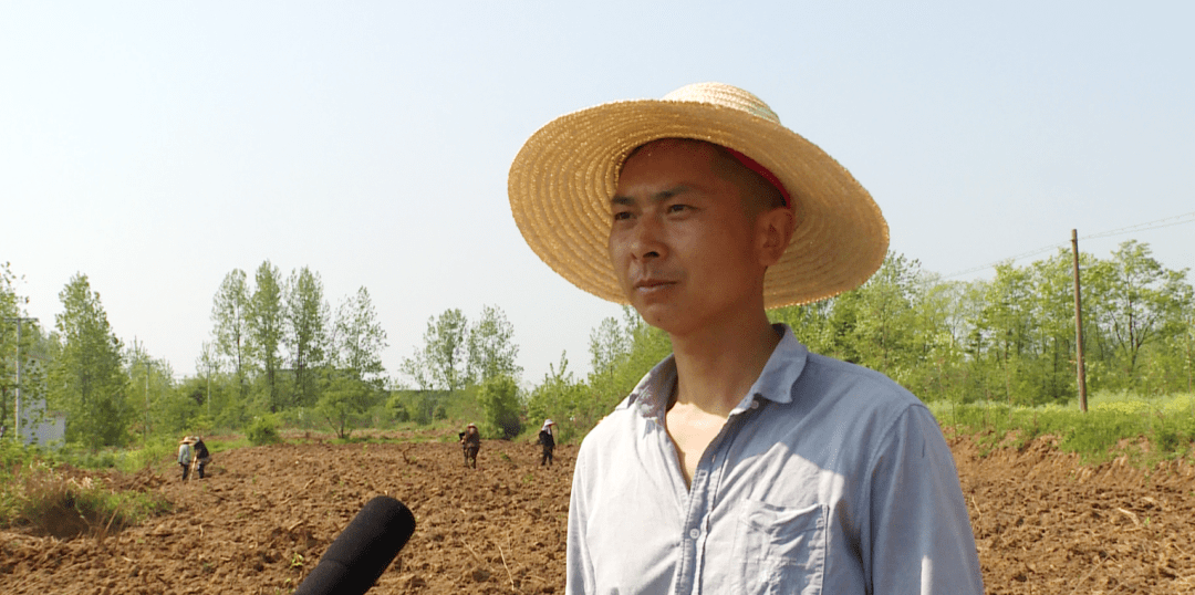 【人居环境整治】罗陈乡:油茶产业发展正逢其时_光山县_果兼种_农村