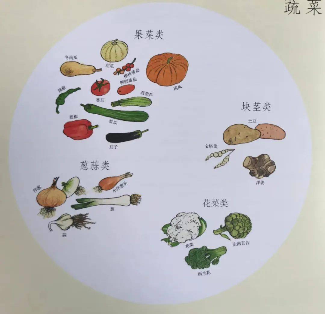 根茎类蔬菜大集合封控时期的美食