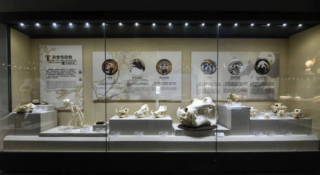 国际口腔医学博物馆荣膺全国科普教育基地