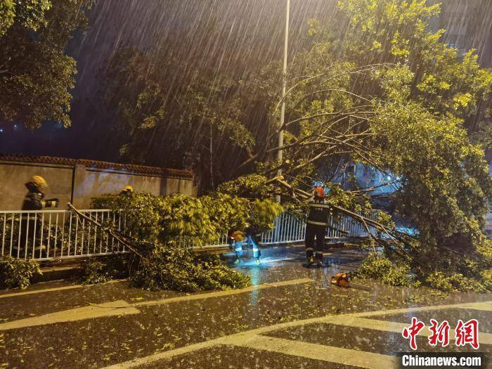 重庆多地遭遇狂风暴雨袭击 局地风力达11级_实拍重庆