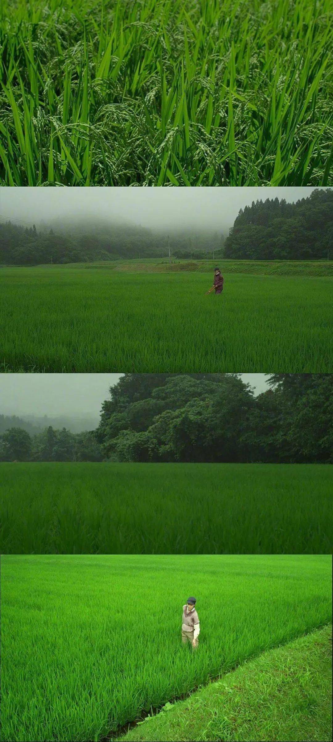 壁纸| 人间温柔,不虚此行_长跑_许嵩_被爱的感觉