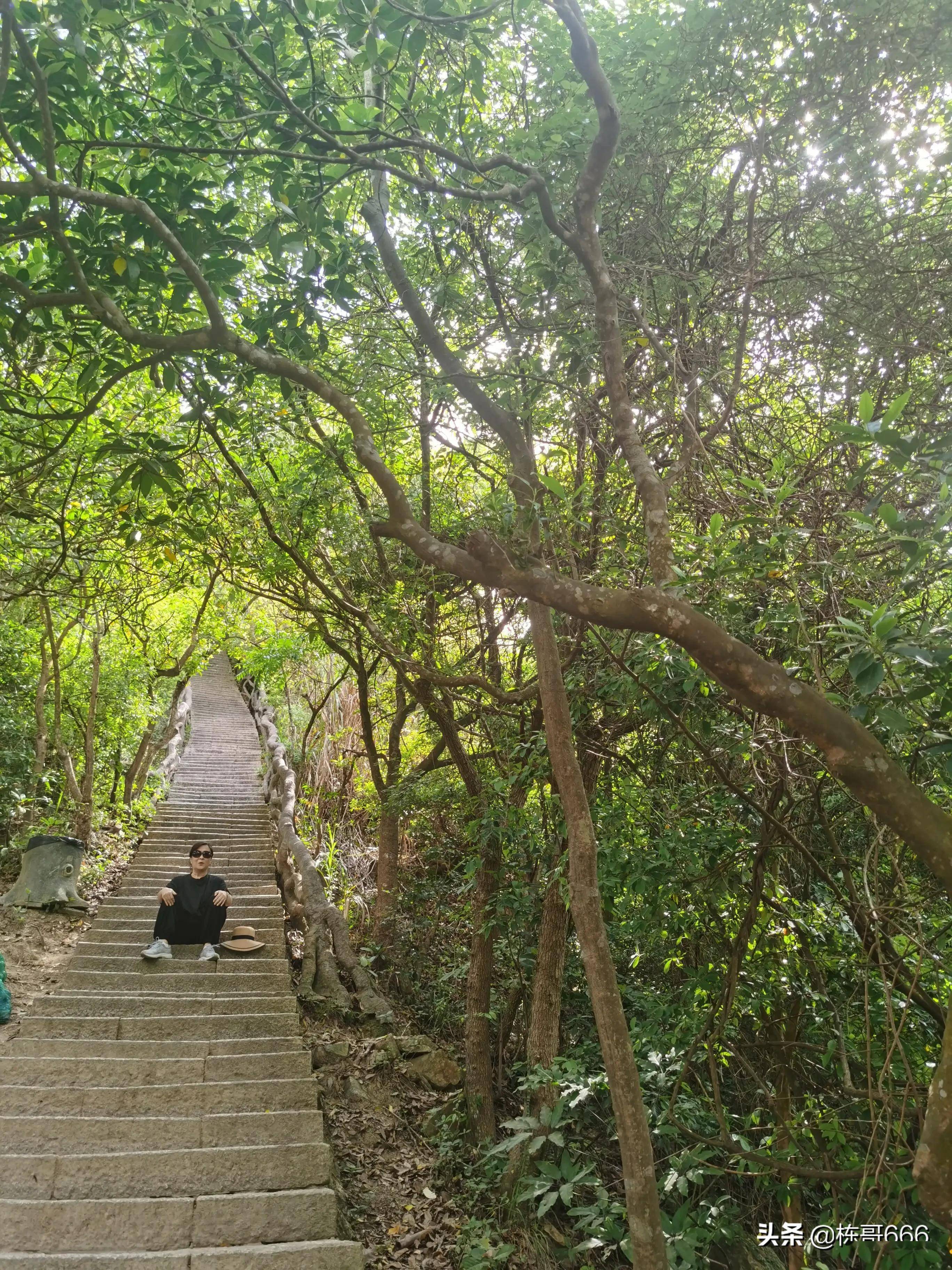 深圳小梧桐山的凌云道植被茂密空气清新非常适合爬山