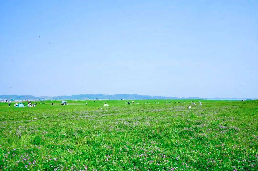 富川沙洲村大草原图片