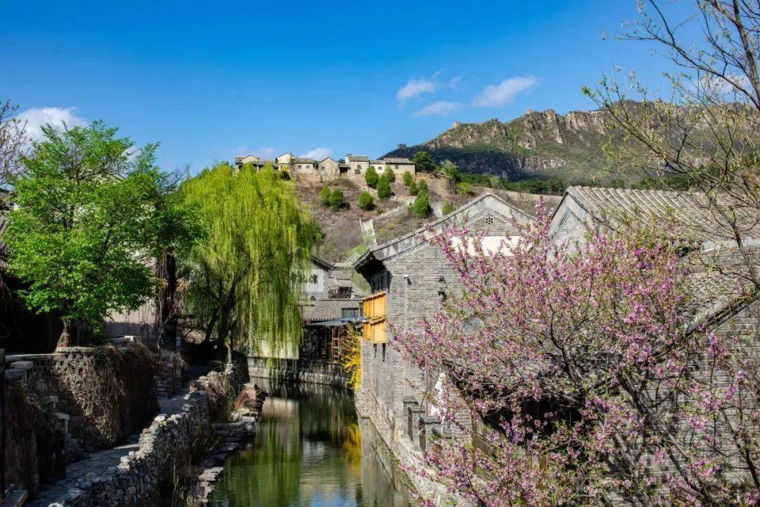 云蒙山 ■张裕爱斐堡卡打来源:宜居密云转眼间来到了"醉美"的四月