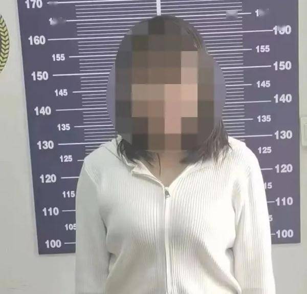 “刷脸”支付转钱款，女子盗窃终被抓