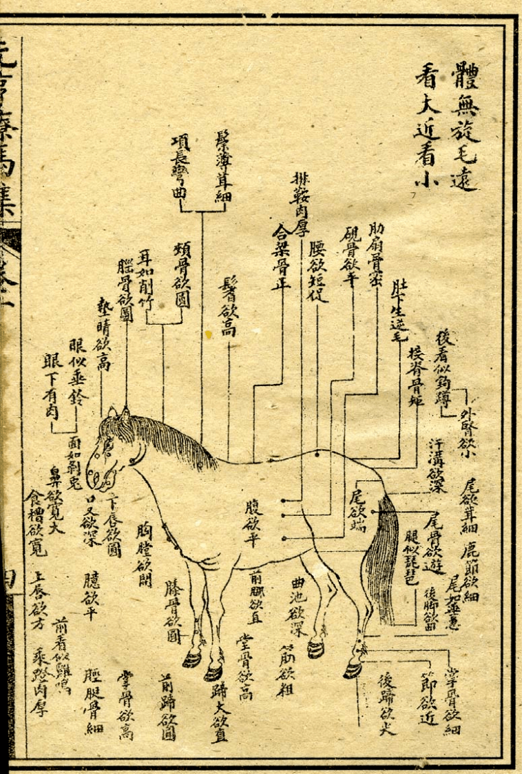 相良马图 | 图源《元亨疗马集》西汉武帝时,有"善相马者东门京铸作铜