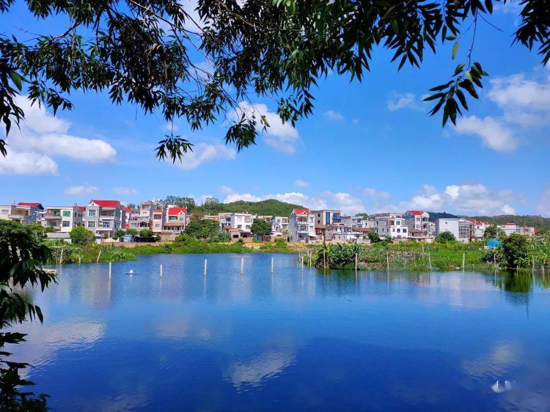 美丽东山文明城杏陈镇三拆三建抓创城攻坚