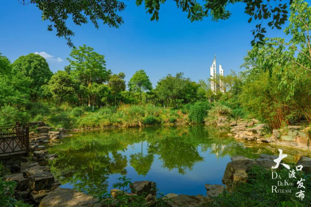 起来碧色无边被郁郁葱葱的树木包围位于义渡公园南园这颗"义渡之心"