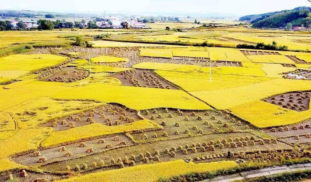 安徽350万亩丘陵田将能跑农机