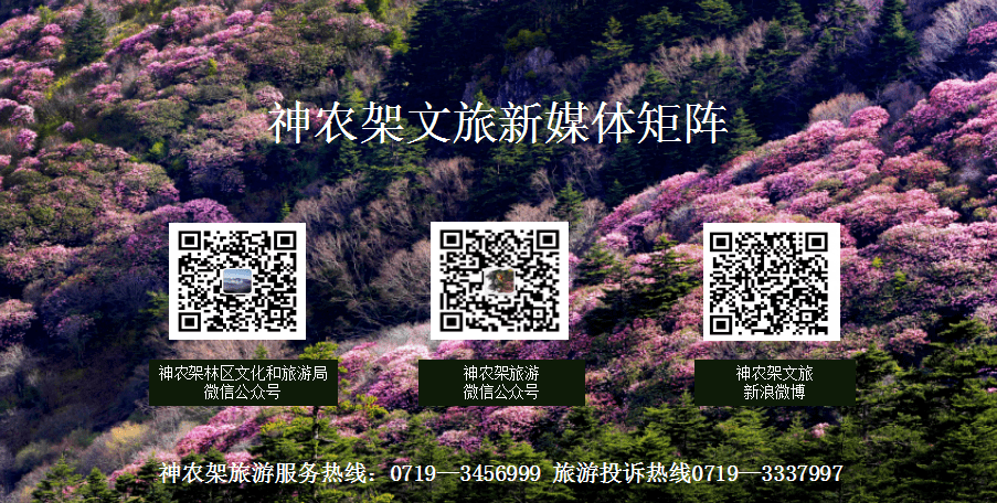 林区文化和旅游局官方抖音：神农架旅游门户网：神农架林区文化和旅游局