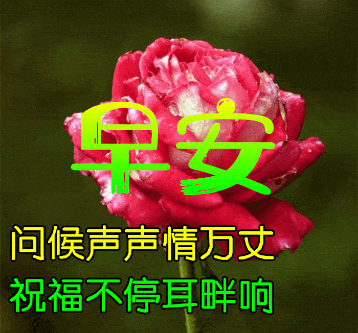 4月15日早上好祝福语图片大全问候动态表情图片大全