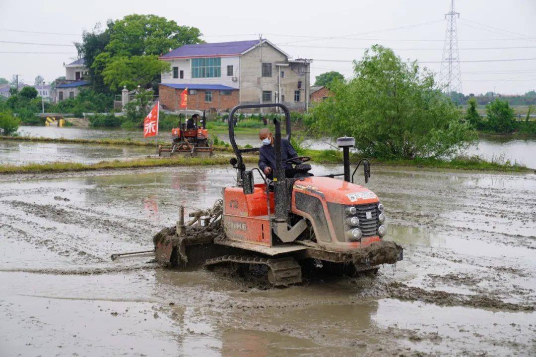 宁乡田间地头有新亮点～_农机_抛秧_机械化