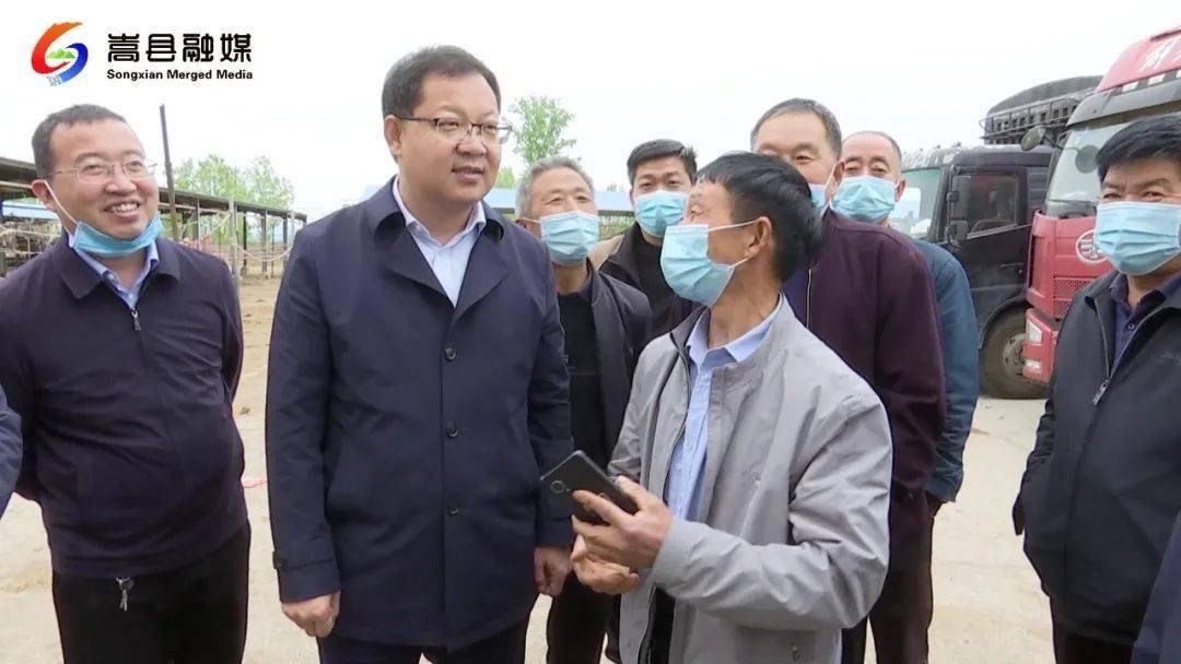 辛俊峰调研畜牧产业发展工作_养殖_嵩县_闫庄镇