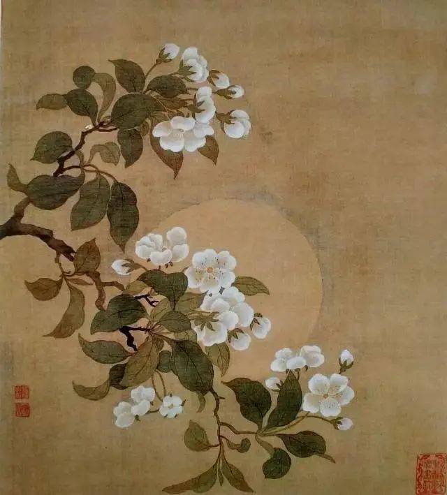 中国花鸟画之没骨花卉_南田_徐熙_自然