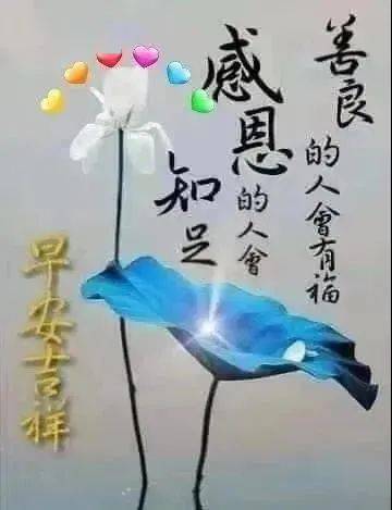 早上好祝福不忘感恩贵人