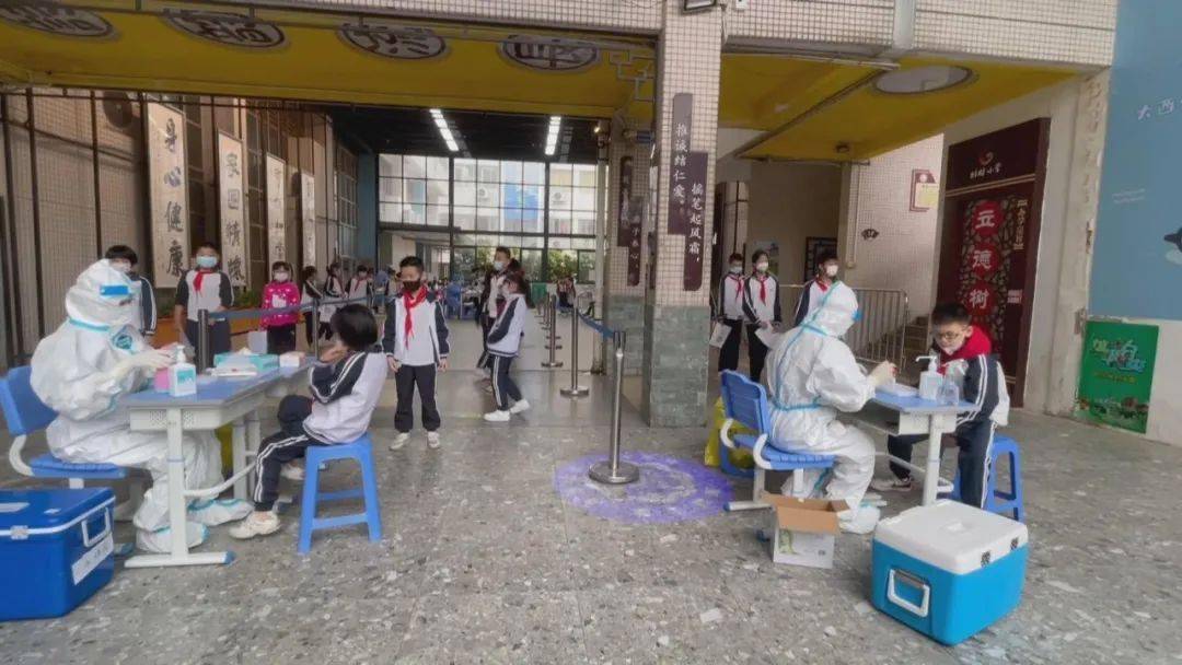 沉浸式体验 虎哥复课日记_桂畔小学_要求_防疫