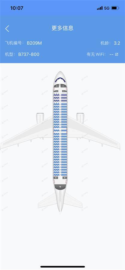 記者瞭解到,目前東航武漢公司的32架飛機全部是波音737-800機型.