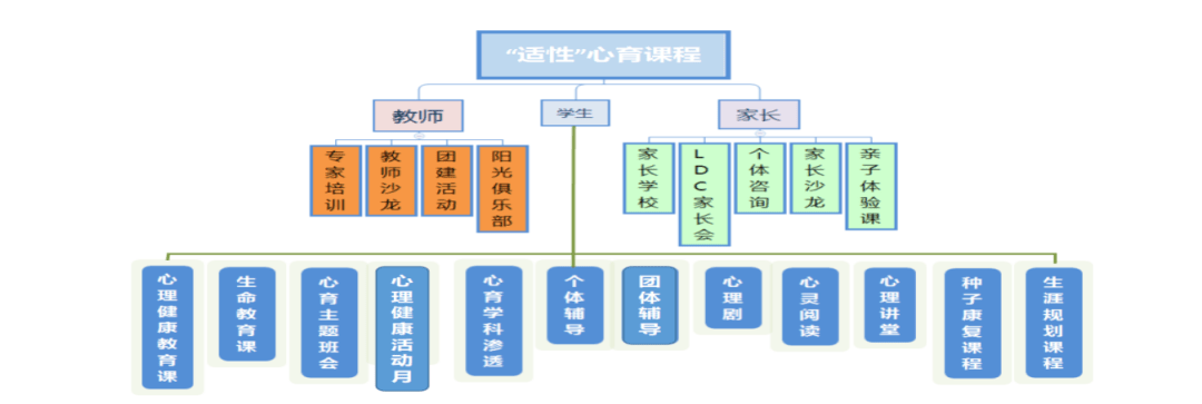 扎根心育"适性"绽放—开发区第四小学心理健康教育实施方案