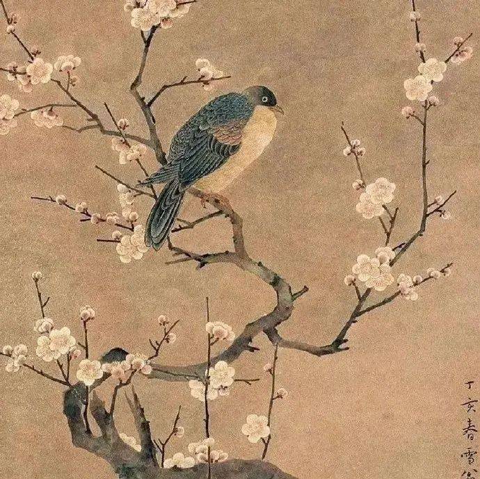 “雪翁”画梅，美在清雅_梅花_陈之佛_声明