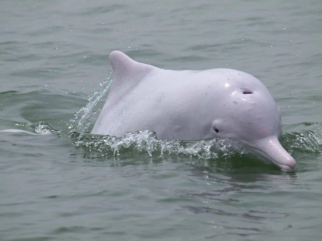 湾大这两项活动启动