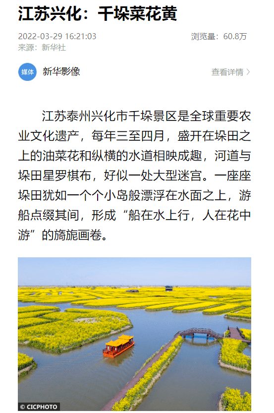 人世间百媚千红唯对你情有独钟央媒集中推介千垛菜花香彻云端