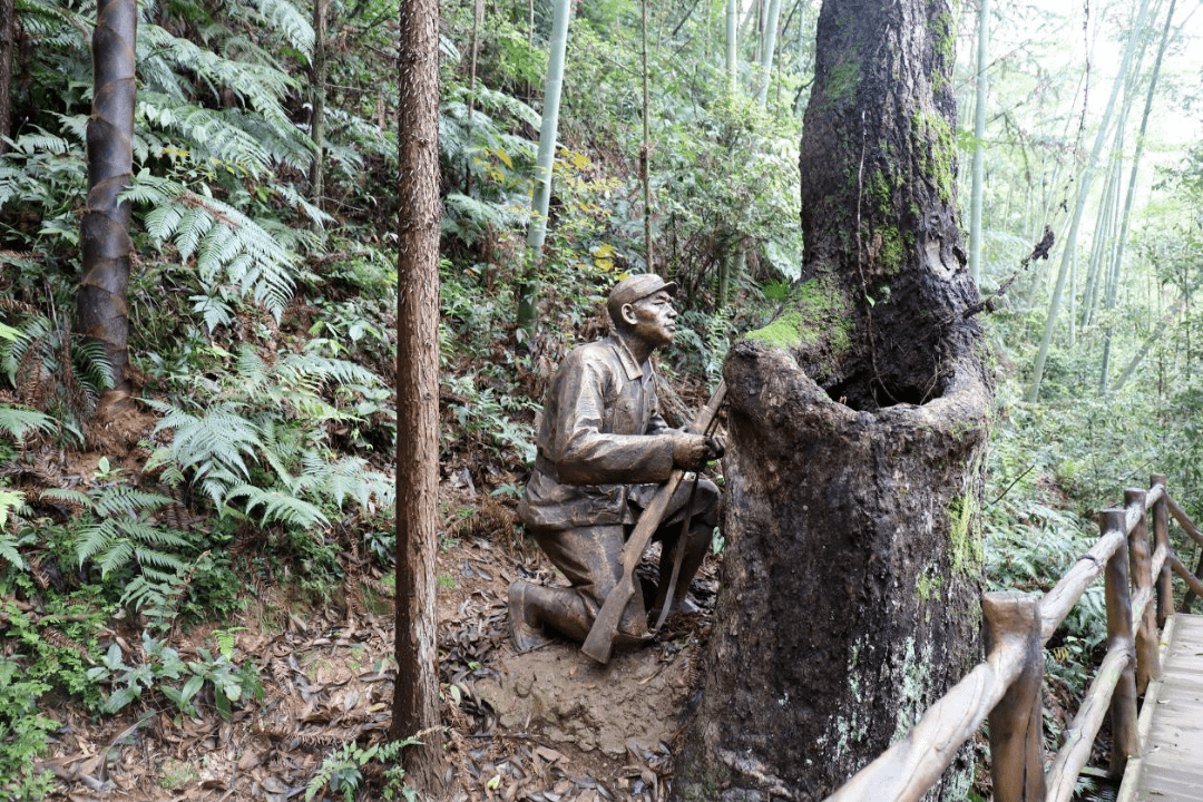 曾经的赣南游击圣地如今的红色旅游名村春日重游油山赣南游击词主题园
