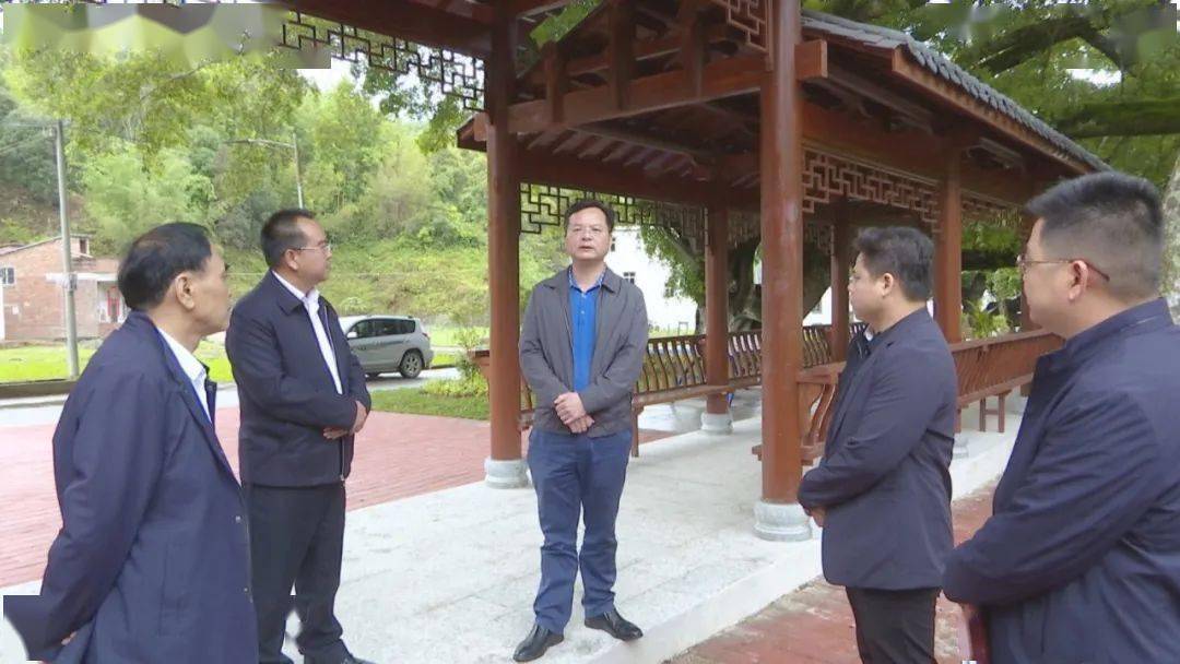 县长邓红卫督导检查乡村振兴工作_整治_九和_环境