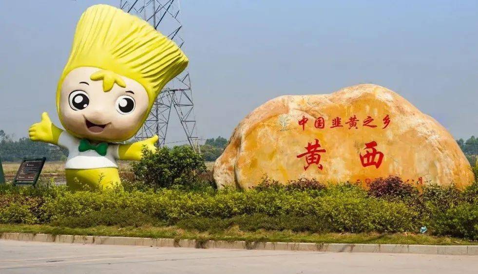 官宣石湾黄西鱼丸制作技艺列入博罗县非物质文化遗产项目名录