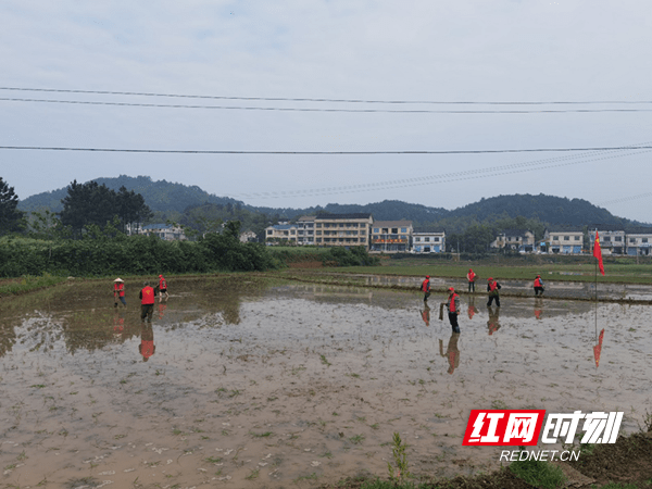 播种希望湘乡市毛田镇党员主动为群众办实事