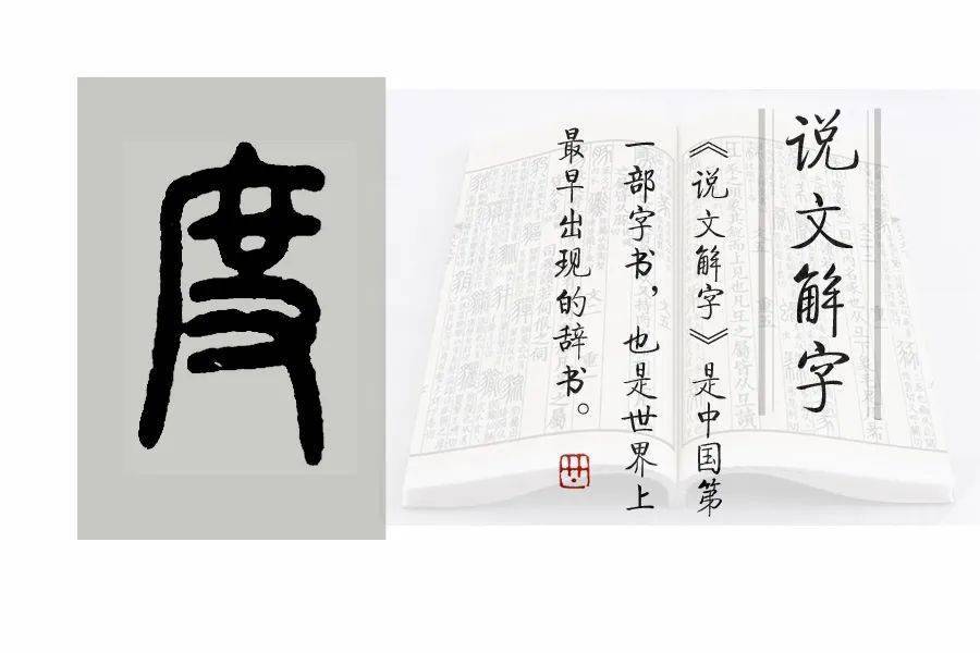 (度的小篆寫法)(【說文解字】之556,部分圖片源自網絡)返回搜狐,查看