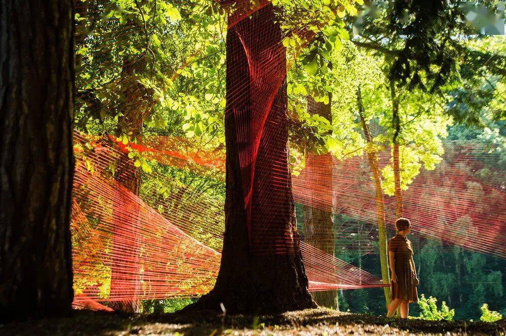 阳光来_景观_光影