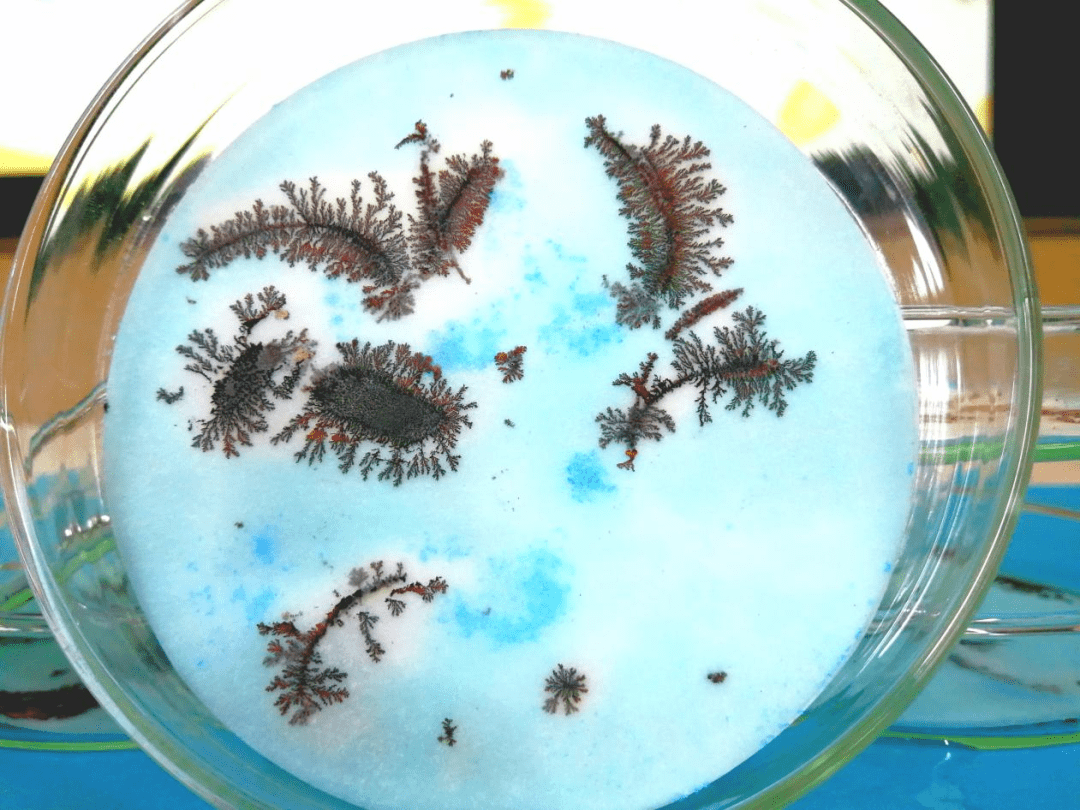 铁树开花"的万千景象就能让金属在纸张上通过一个化学反应的小实验"小