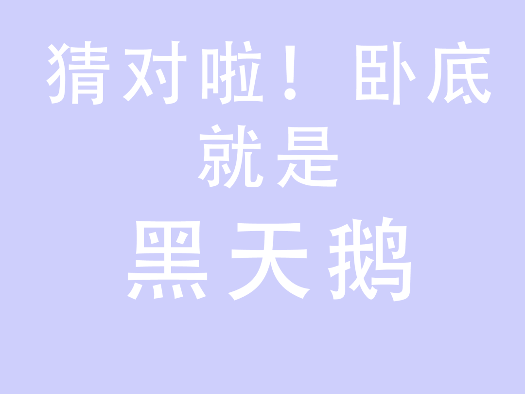 烧脑时刻谁是卧底