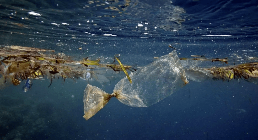 海洋汙染水汙染大氣汙染土地荒漠化森林銳減酸雨蔓延生物多樣性減少