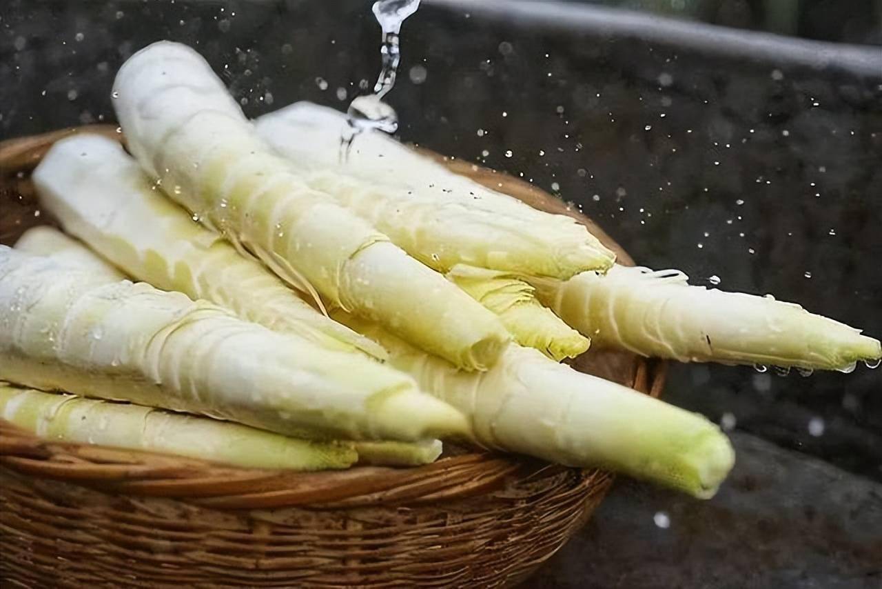 春笋是发物肺癌者不能吃真正不建议吃的是这几种别吃错