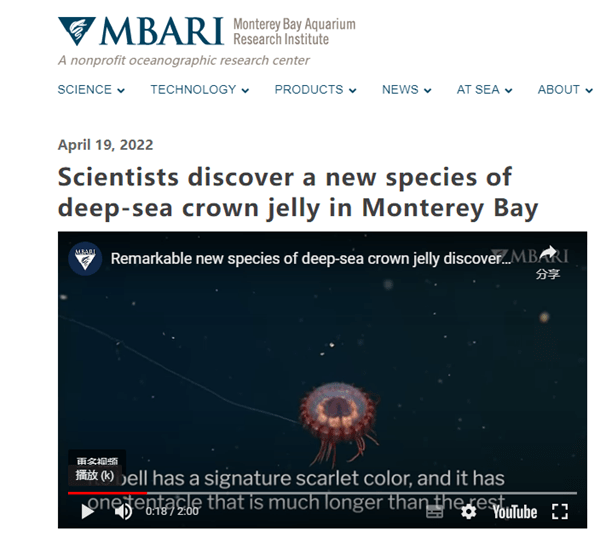 科学家在蒙特雷湾发现新皇冠水母 外形像红色的外星飞碟