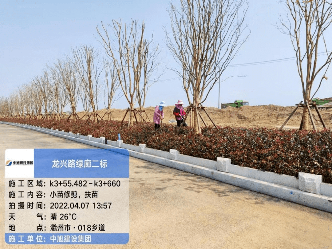 龙兴路绿廊项目加速推进_滁州市_施工_土方