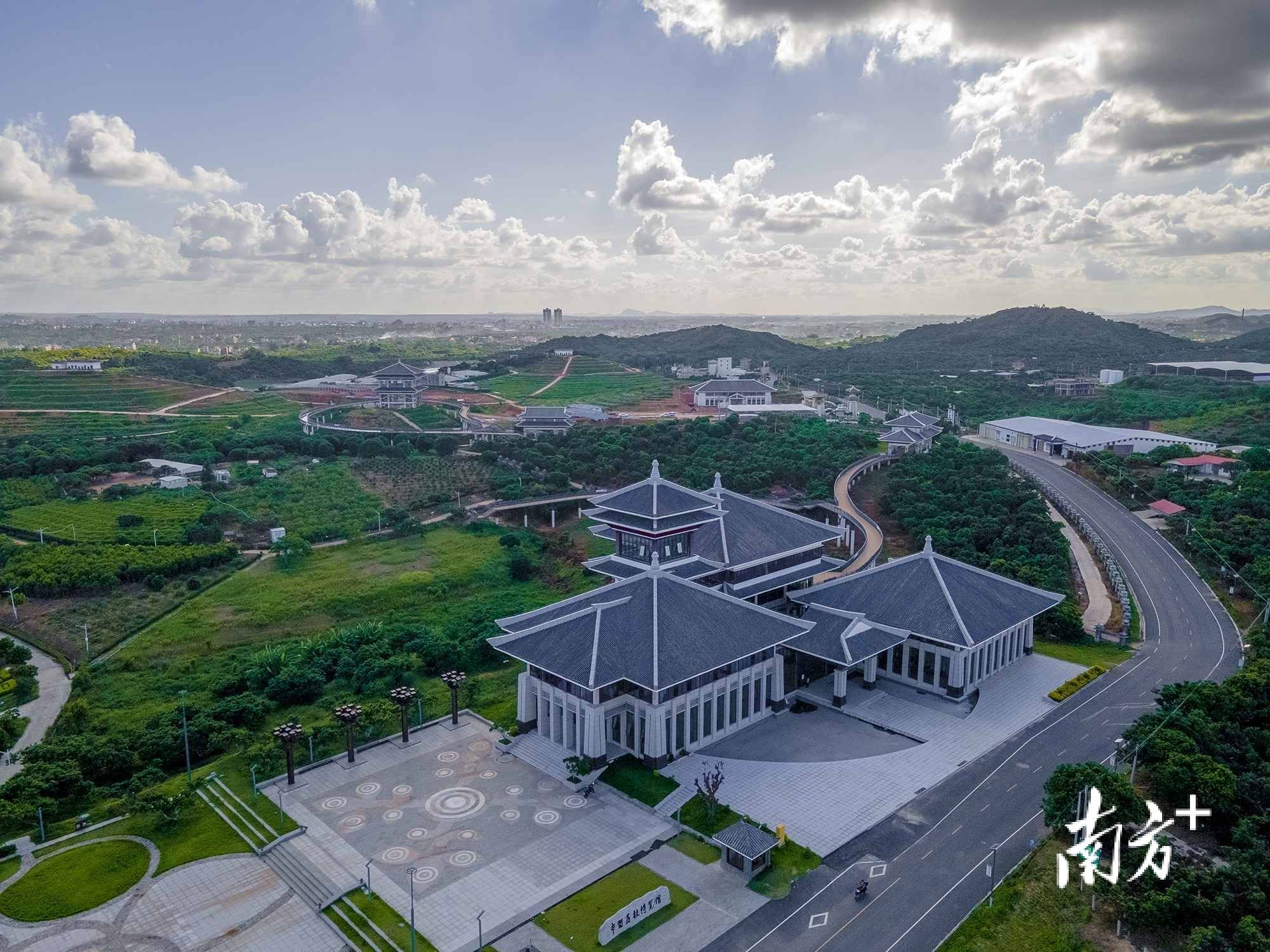 位于高州市根子镇的省级荔枝现代农业产业园. 通讯员 伍惠麟 供图