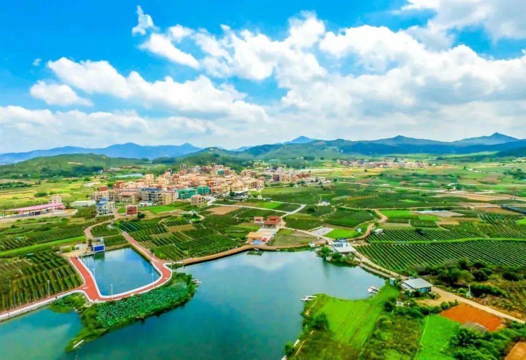 这件事做好了翔安这个网红打卡点更美了一致好评