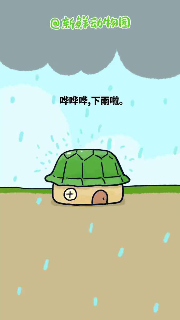 新鲜动物园哗哗哗下雨啦小乌龟家的房子漏雨啦意不意外脑洞大开热门