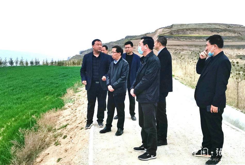 张家川县人大常委会调研全县国土绿化工作