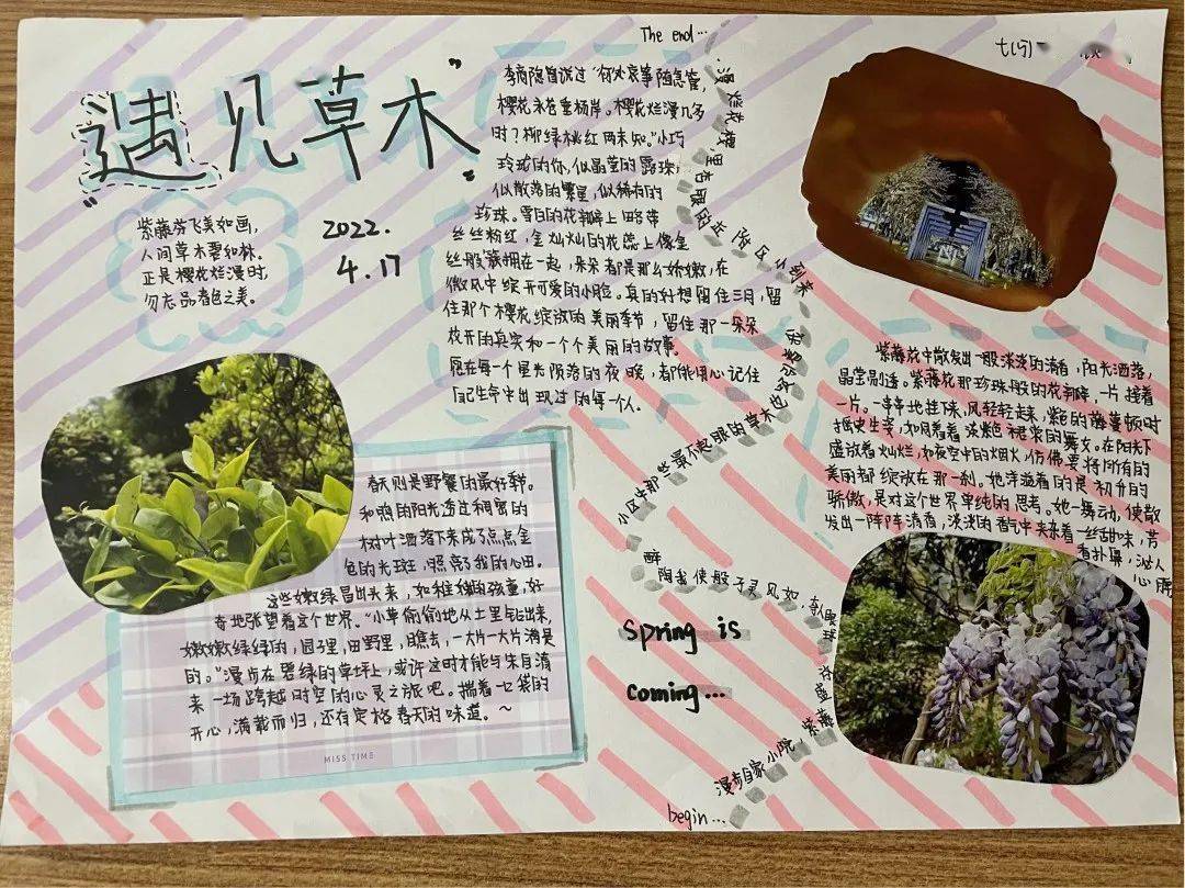 遇见人间草木一致远初中读书节活动启动