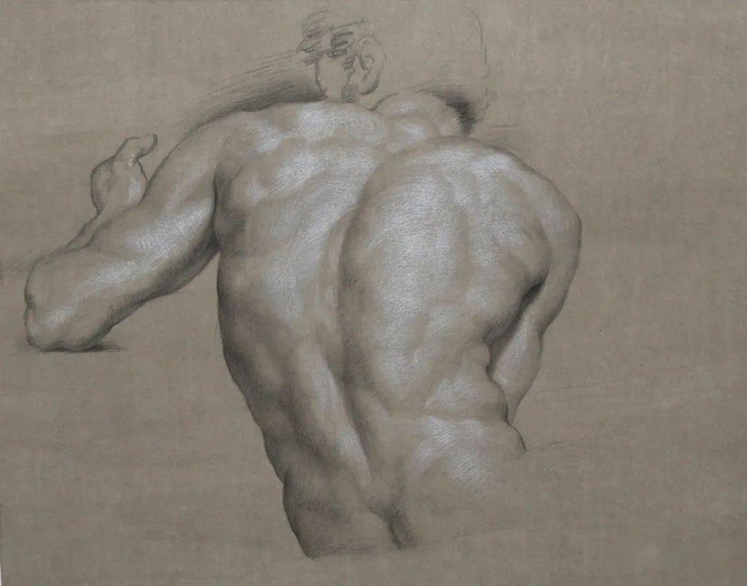 列宾美院2016年学生素描作品
