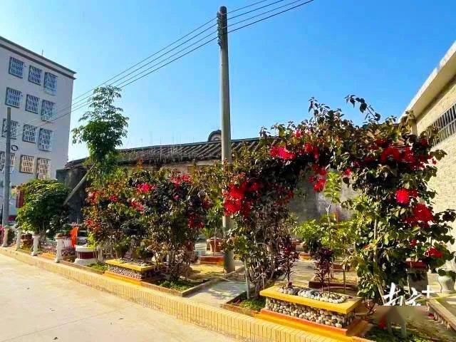 南方聚焦汕头濠江华里社区履行村民约定共建美丽乡村