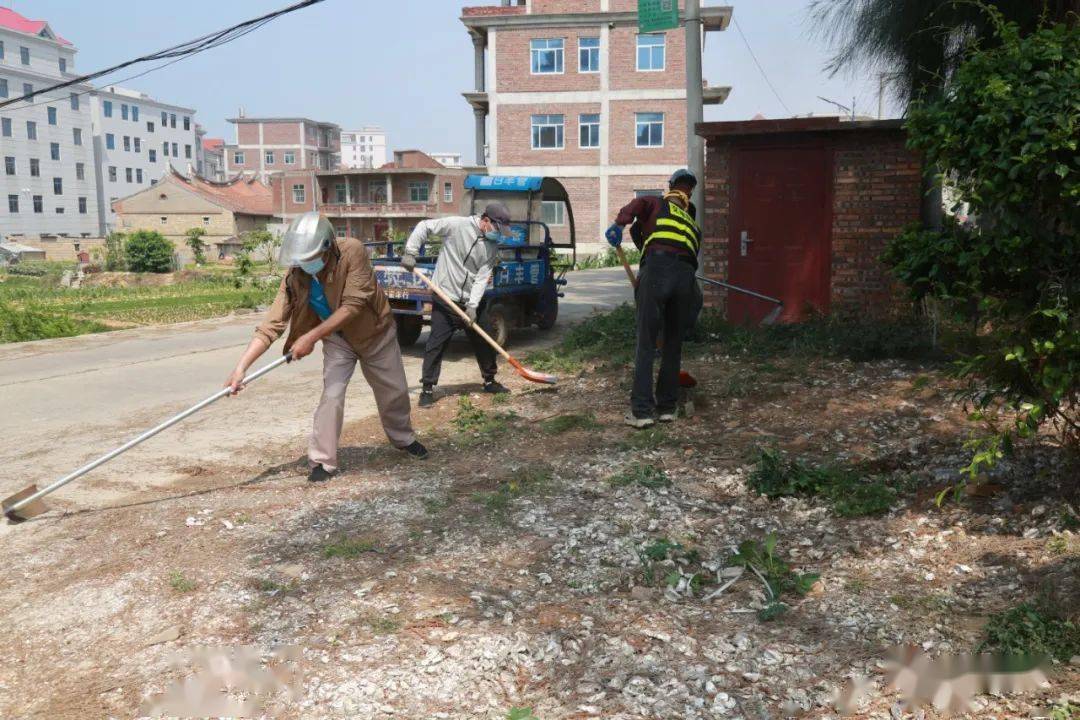 【文明城市 共建共享】忠门沁头村:"绿化修剪"为创城助力添彩