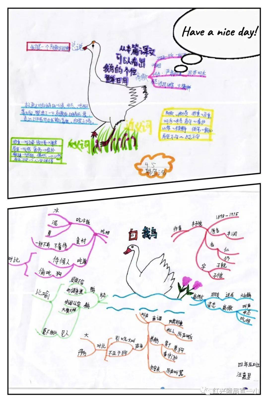 特色作业 思维导图画语文