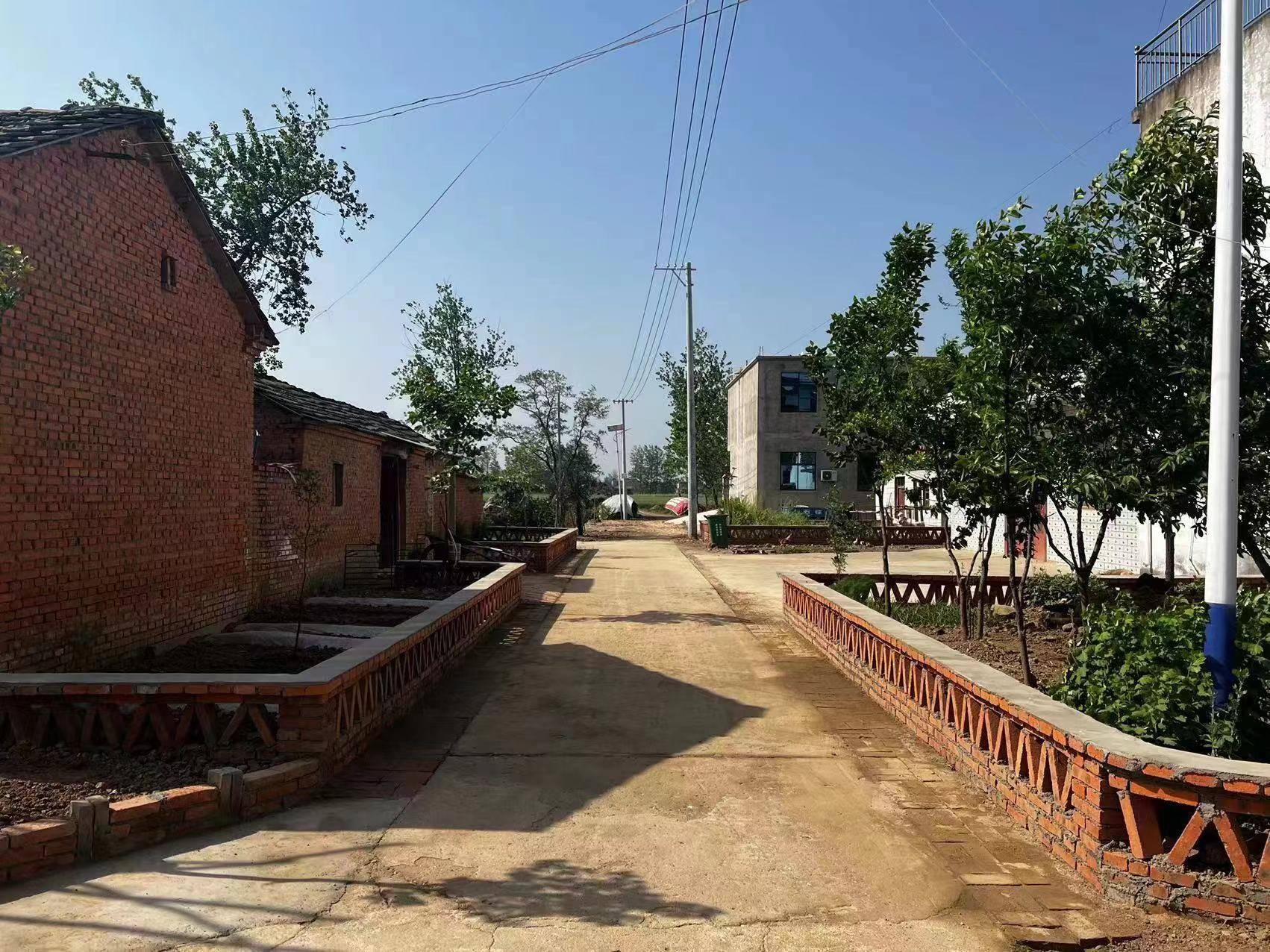 临泉县姜寨镇促进乡风文明建设助力乡村振兴